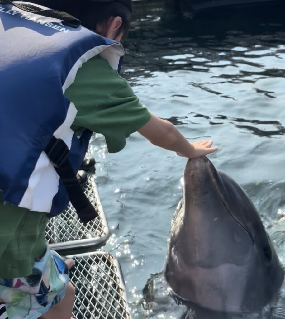 ルネッサンスリゾートオキナワのアクティビティでイルカにタッチする長男